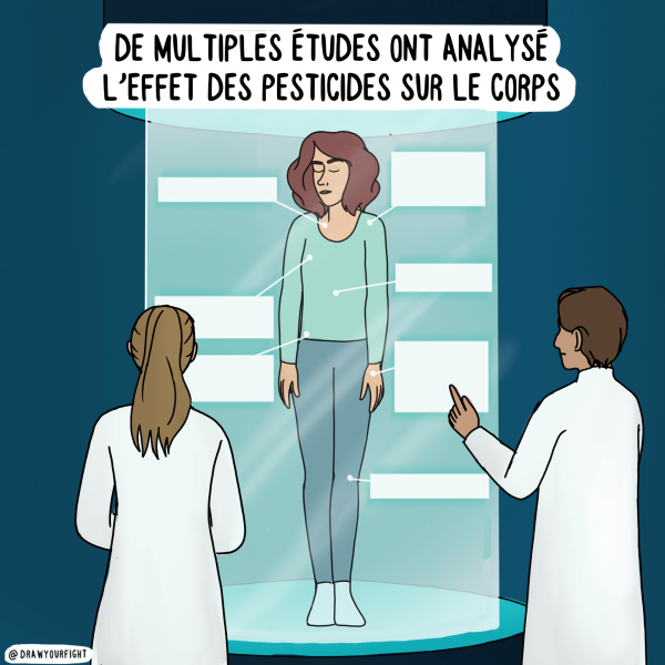 Illustration : de multiples études ont analysé l'effet des pesticides sur le corps