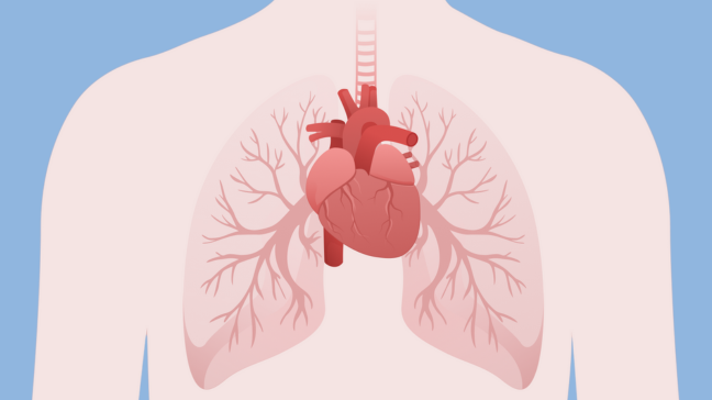 Cardiopulmonaires