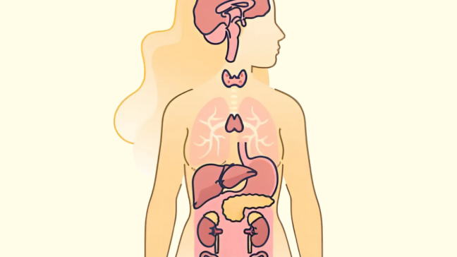 Endocriniennes & métaboliques
