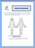 Schema du bonhomme